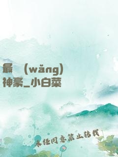 最強網(wǎng)絡神豪
