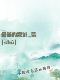 最美的意外