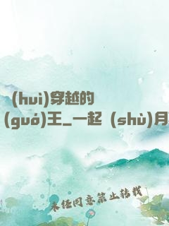 會(huì)穿越的國(guó)王