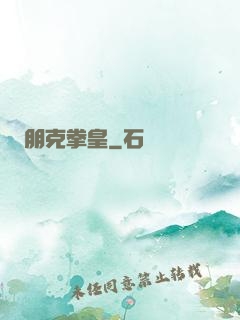 朋克拳皇