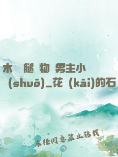 木馬雙腿墜物雙男主小說(shuō)