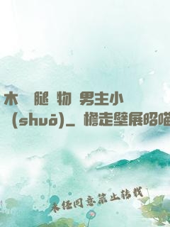 木馬雙腿墜物雙男主小說(shuō)