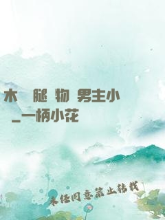 木馬雙腿墜物雙男主小說