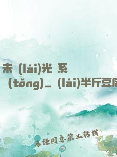 未來(lái)光腦系統(tǒng)