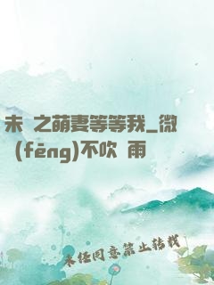未來之萌妻等等我