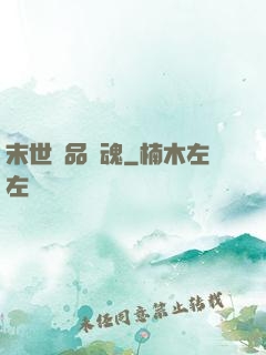 末世極品雙魂