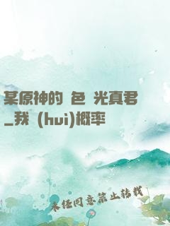 某原神的黃色閃光真君