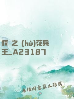 校園之護(hù)花兵王