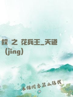 校園之護花兵王