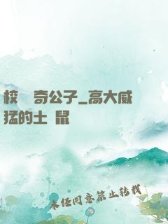 校園傳奇公子