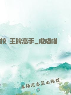 校園王牌高手