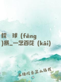 校園籃球風(fēng)暴