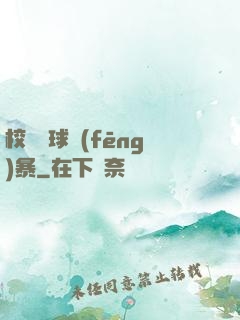 校園籃球風(fēng)暴
