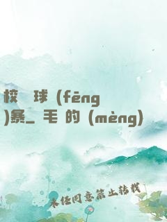 校園籃球風(fēng)暴