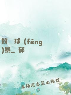 校園籃球風(fēng)暴