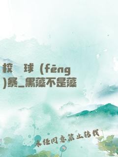 校園籃球風(fēng)暴
