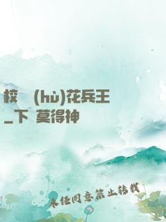 校園護(hù)花兵王