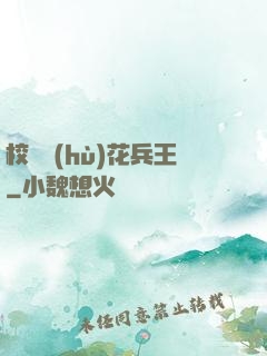 校園護(hù)花兵王