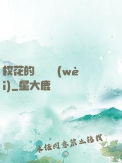 ?；ǖ慕K極護衛(wèi)