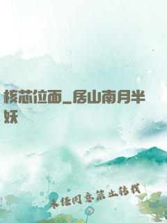 核芯位面
