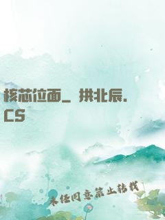 核芯位面
