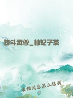 格斗武尊