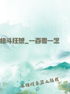 格斗狂想