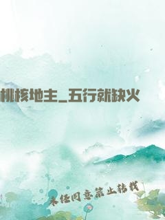桃核地主
