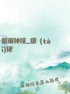 案底神探