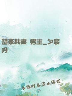 楚家共妻雙男主