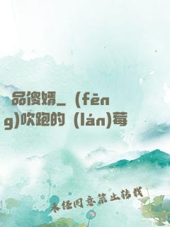 極品傻婿