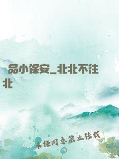 極品小保安