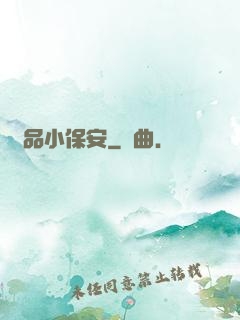 極品小保安
