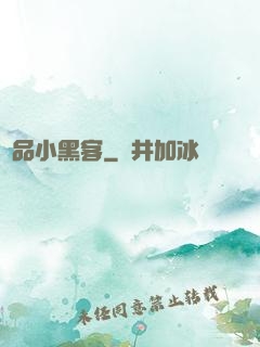 極品小黑客