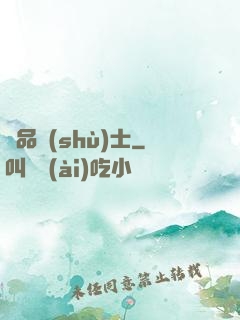 極品術(shù)士