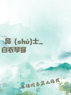極品術(shù)士