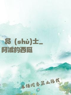 極品術(shù)士
