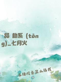 極品輔助系統(tǒng)