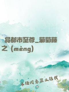 極品都市至尊