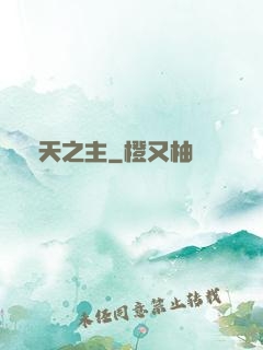 極天之主