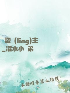 槍炮領(lǐng)主