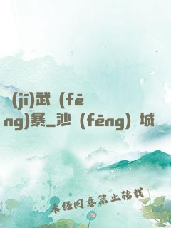 機(jī)武風(fēng)暴