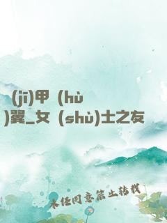 機(jī)甲護(hù)翼