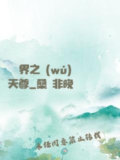 橫掃異界之無(wú)敵天尊