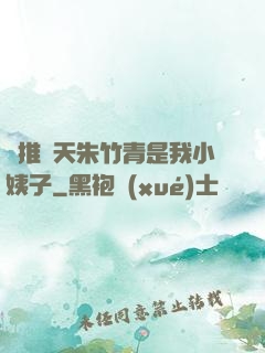 橫推諸天朱竹青是我小姨子