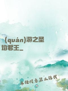 權(quán)游之圣焰君王