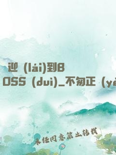 歡迎來(lái)到BOSS隊(duì)