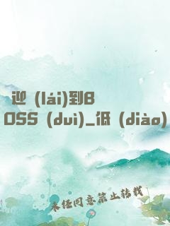 歡迎來(lái)到BOSS隊(duì)