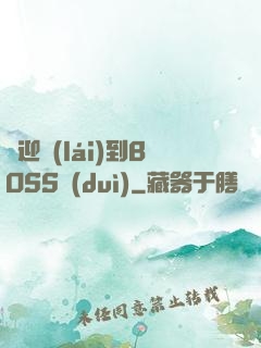 歡迎來(lái)到BOSS隊(duì)