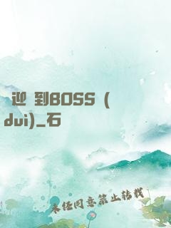 歡迎來到BOSS隊(duì)